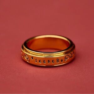 Seeker Gold Fidget Ring